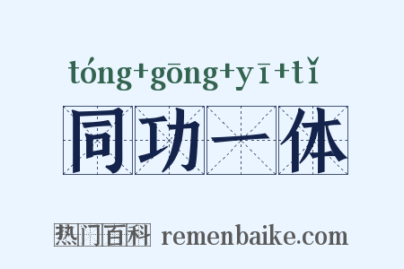 同功一体是什么意思的图片